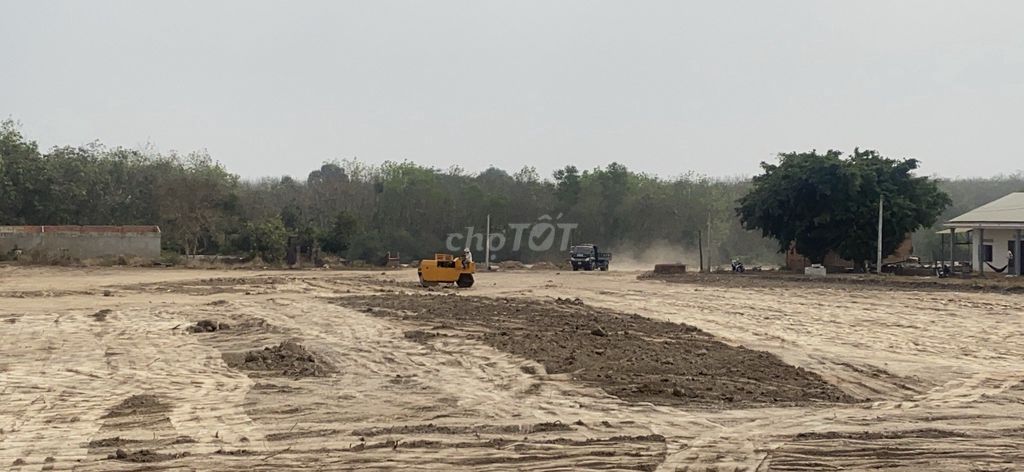 4348824 ảnh đại diện 2