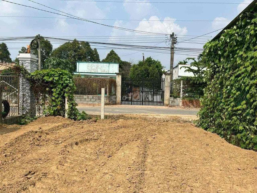 4347852 ảnh đại diện 1