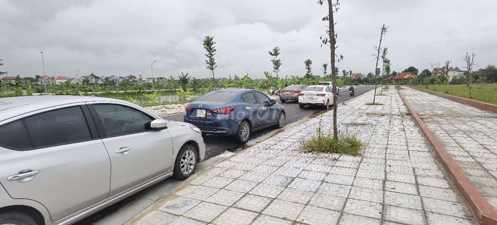 4347752 ảnh đại diện 2