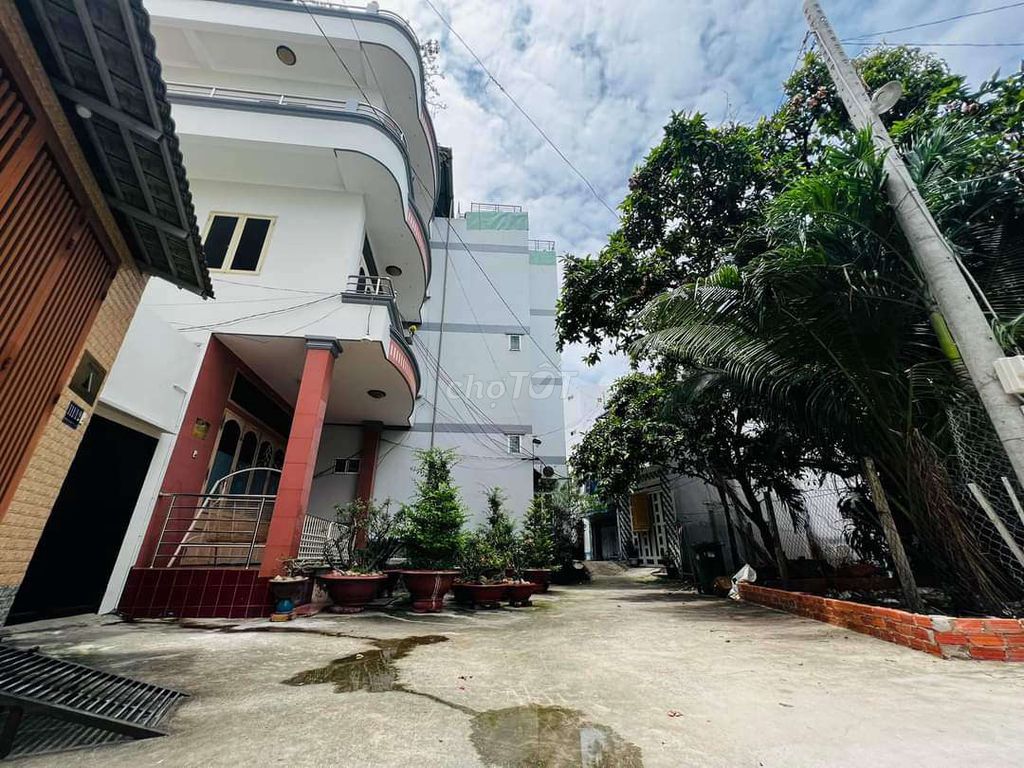 4348087 ảnh đại diện 2