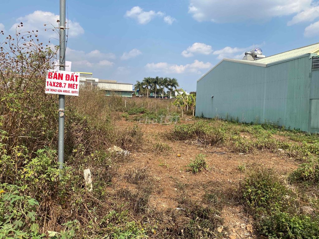4351870 ảnh đại diện 1