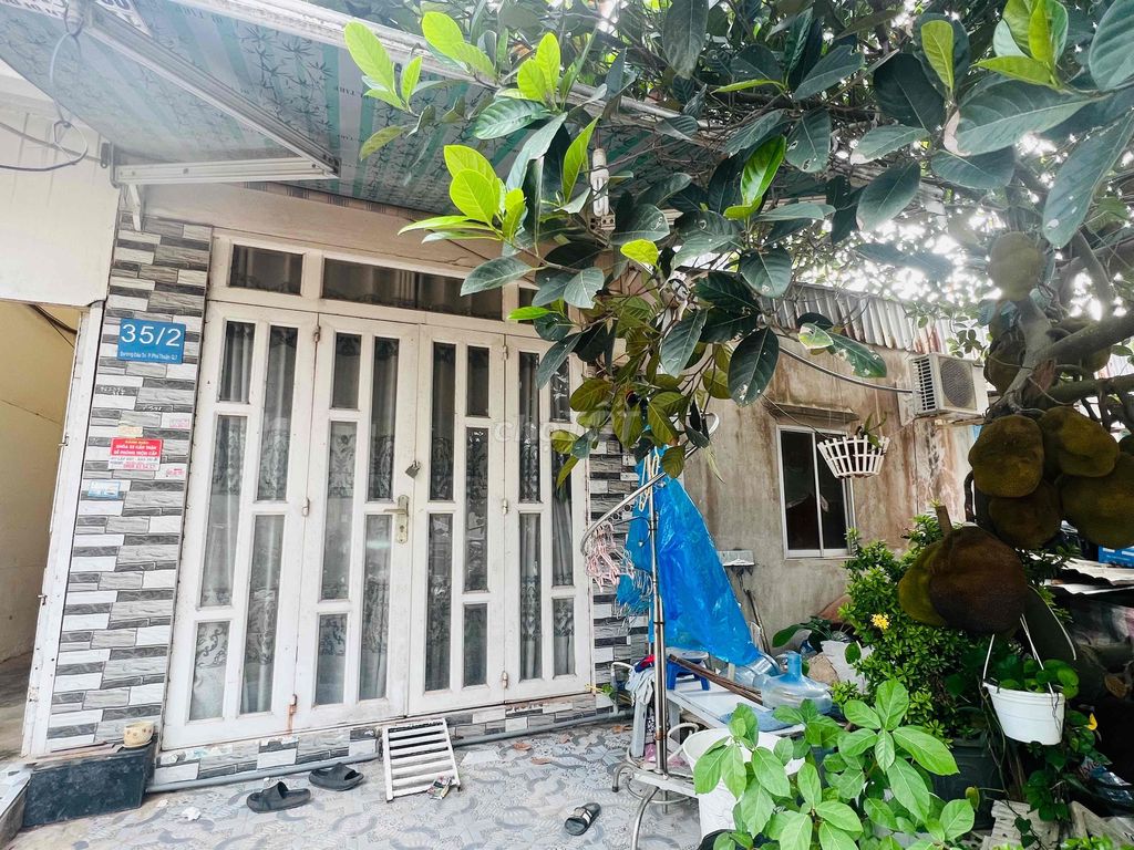 4348704 ảnh đại diện 2