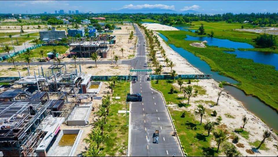 4350004 ảnh đại diện 1