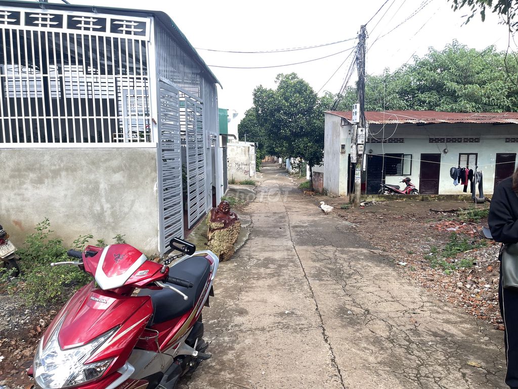 4351866 ảnh đại diện 1
