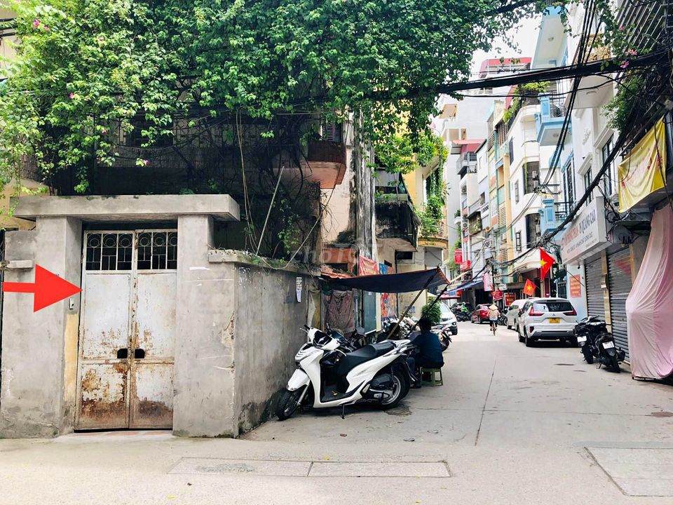4350930 ảnh đại diện 2