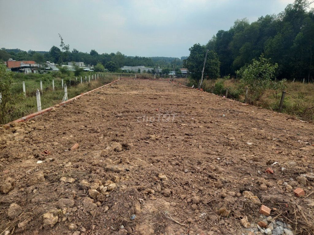 4349670 ảnh đại diện 1