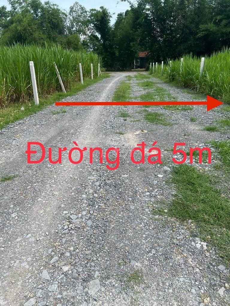 4347777 ảnh đại diện 1