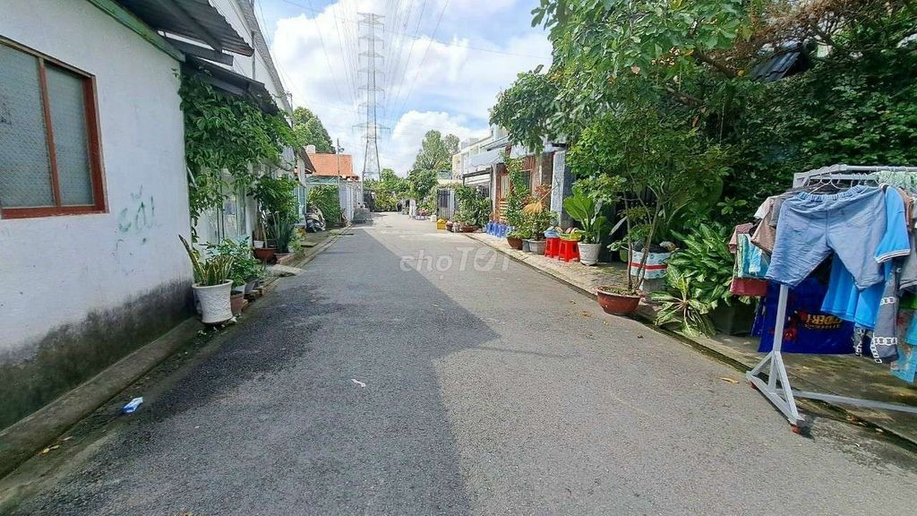 4353215 ảnh đại diện 1