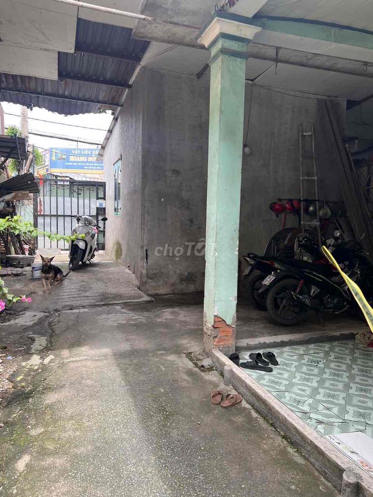 4348894 ảnh đại diện 2