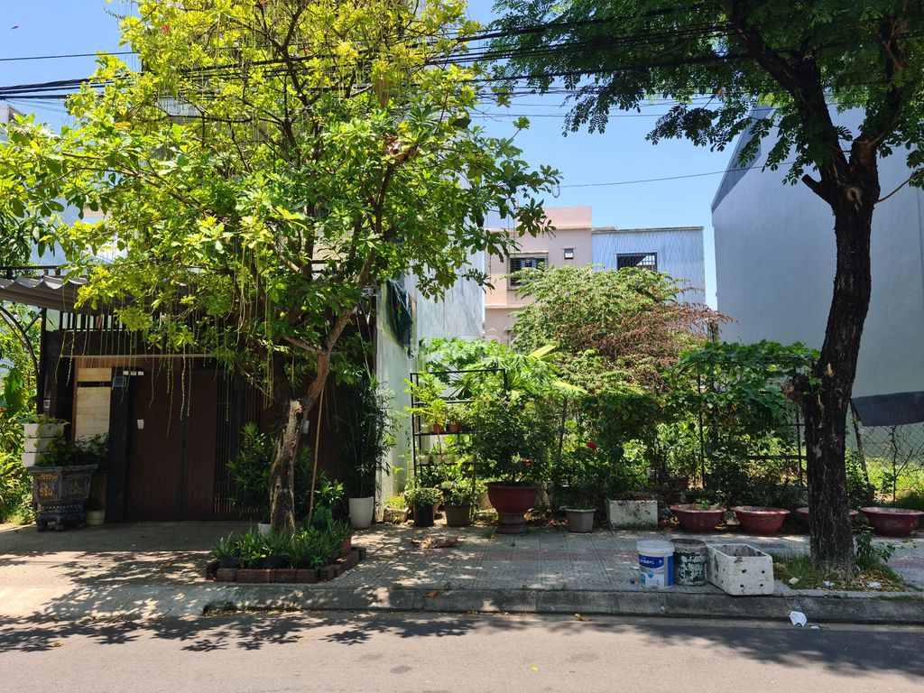 4349419 ảnh đại diện 1