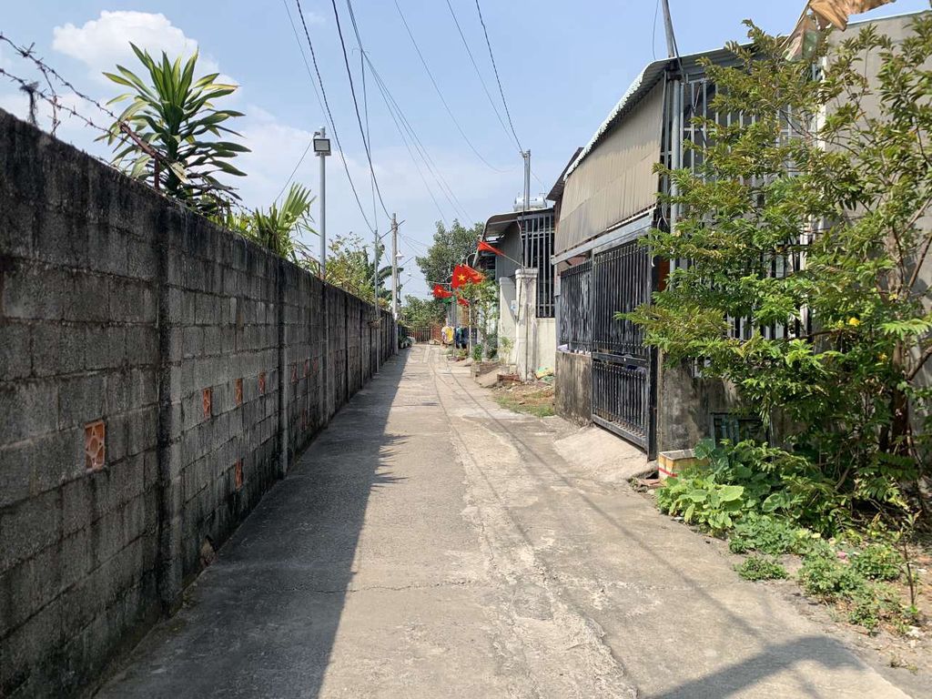 4349427 ảnh đại diện 1