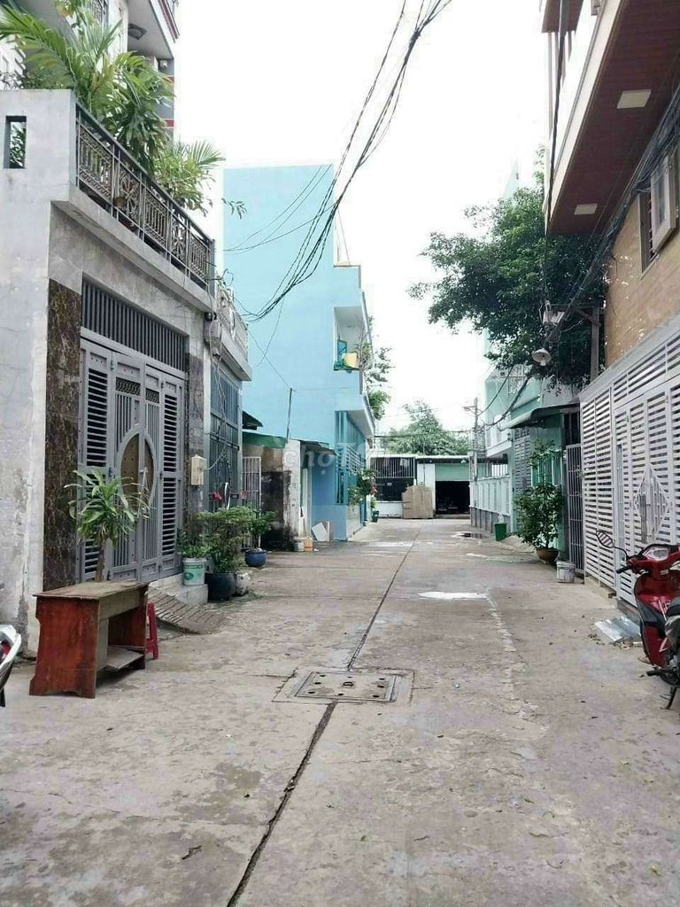 4352590 ảnh đại diện 1