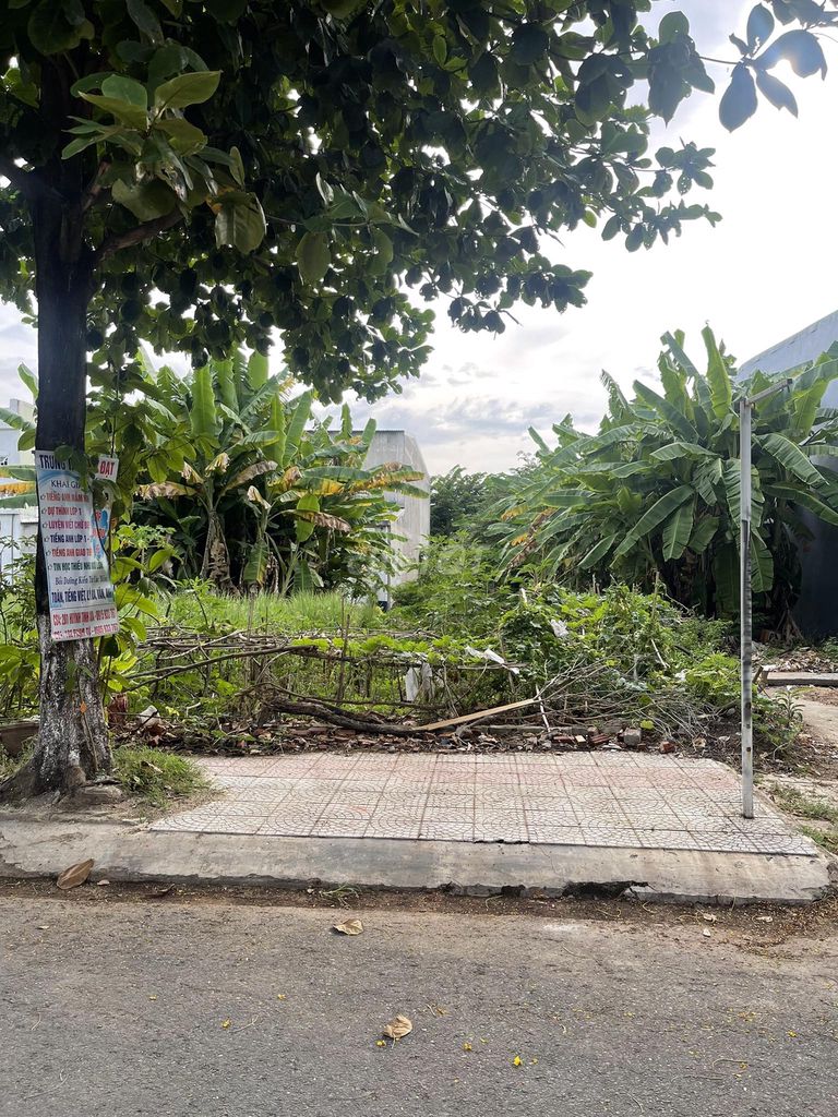 4350178 ảnh đại diện 2