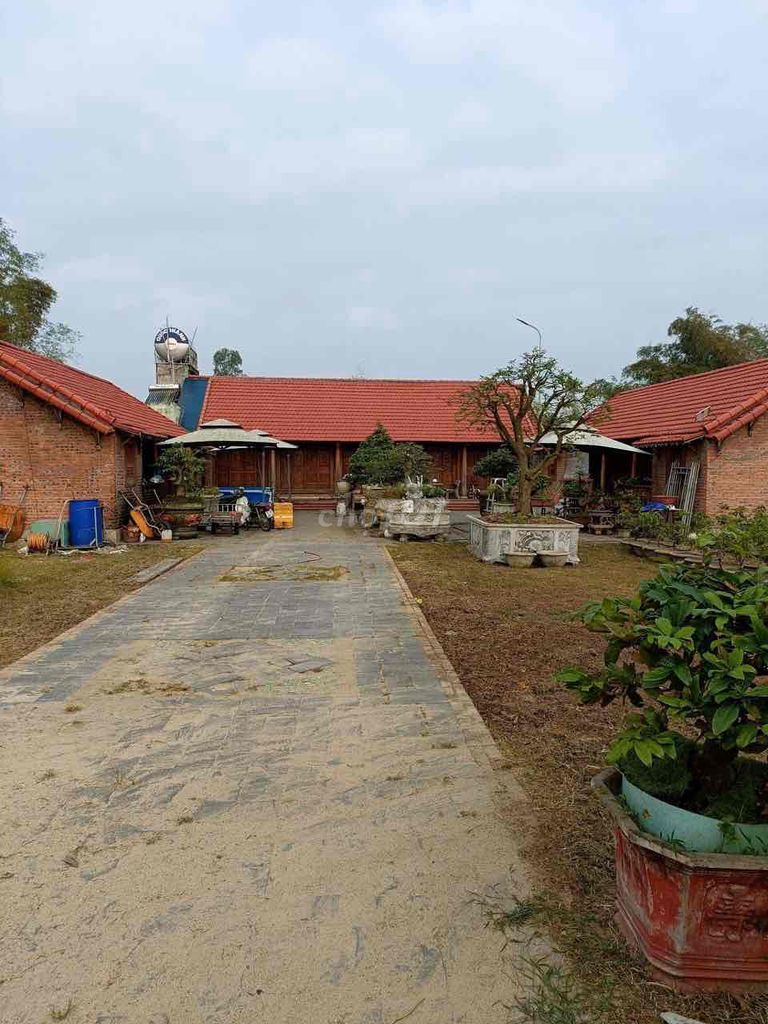 4352888 ảnh đại diện 1