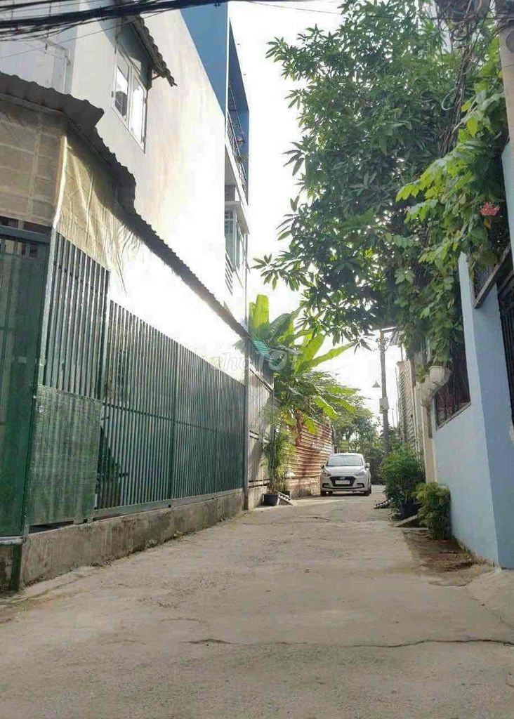 4348703 ảnh đại diện 1