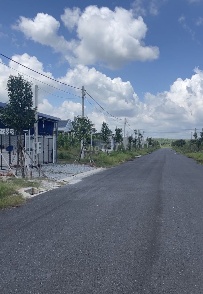 4347824 ảnh đại diện 2