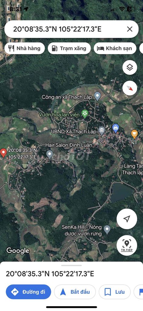 4347753 ảnh đại diện 1