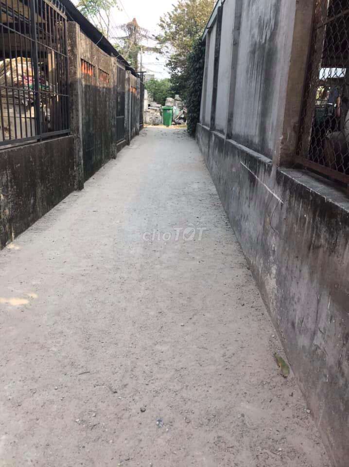 4352802 ảnh đại diện 1