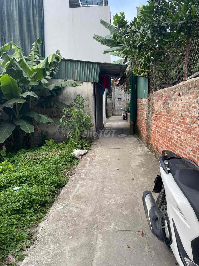 4352991 ảnh đại diện 2