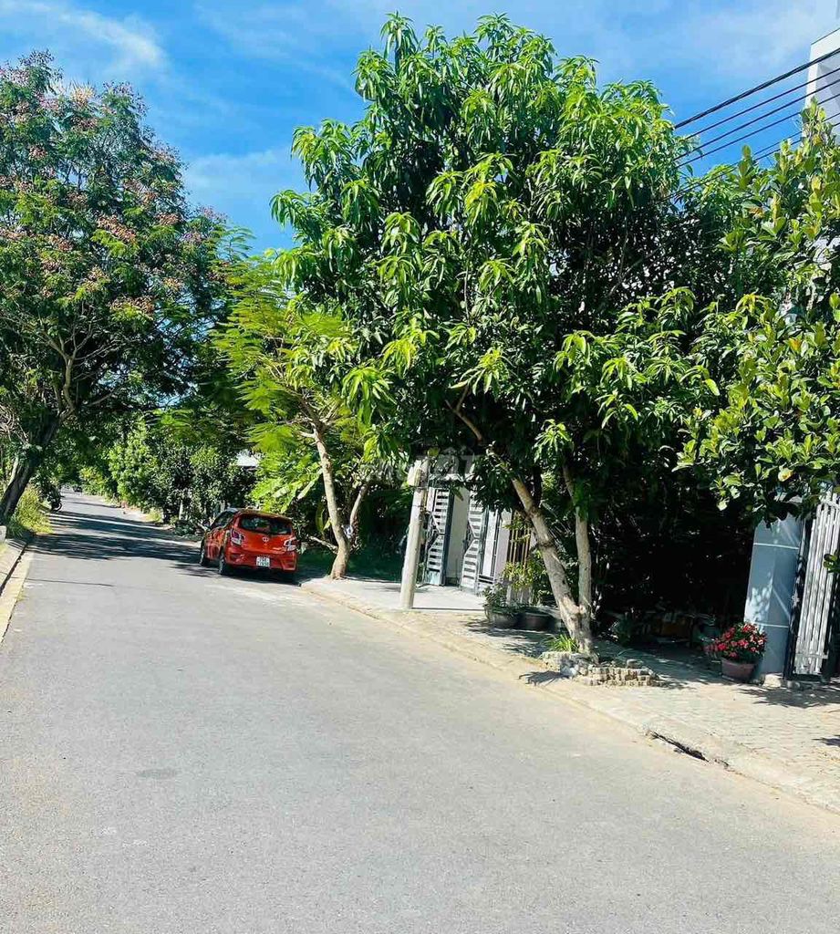 4348463 ảnh đại diện 2