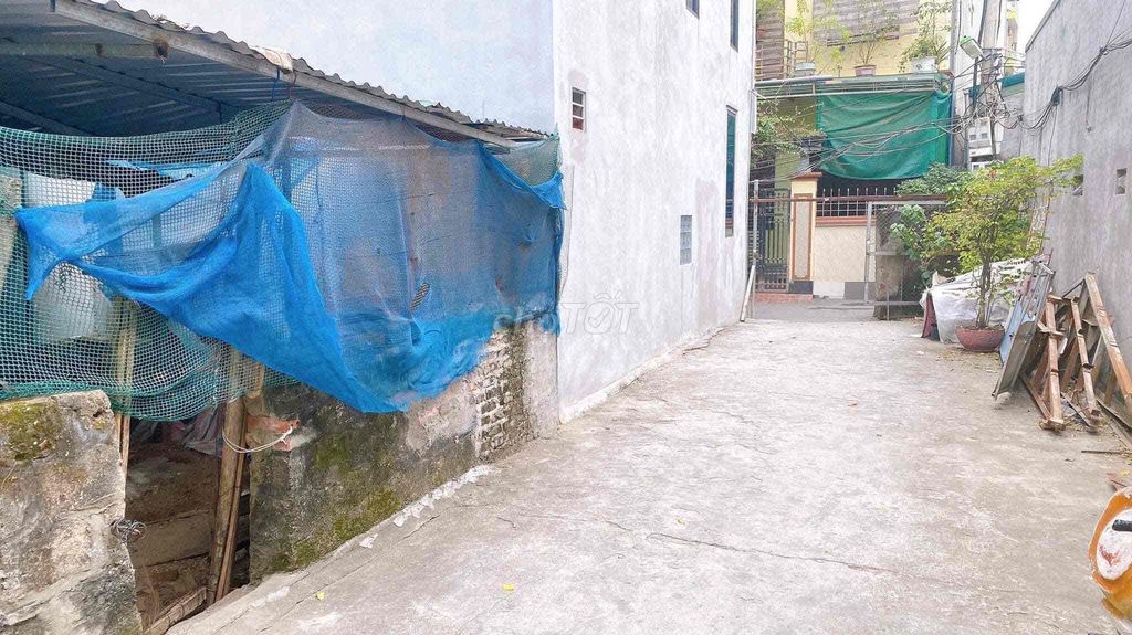 4352918 ảnh đại diện 2