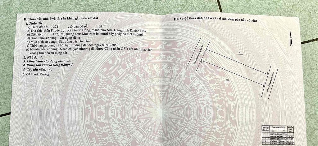 4352143 ảnh đại diện 2