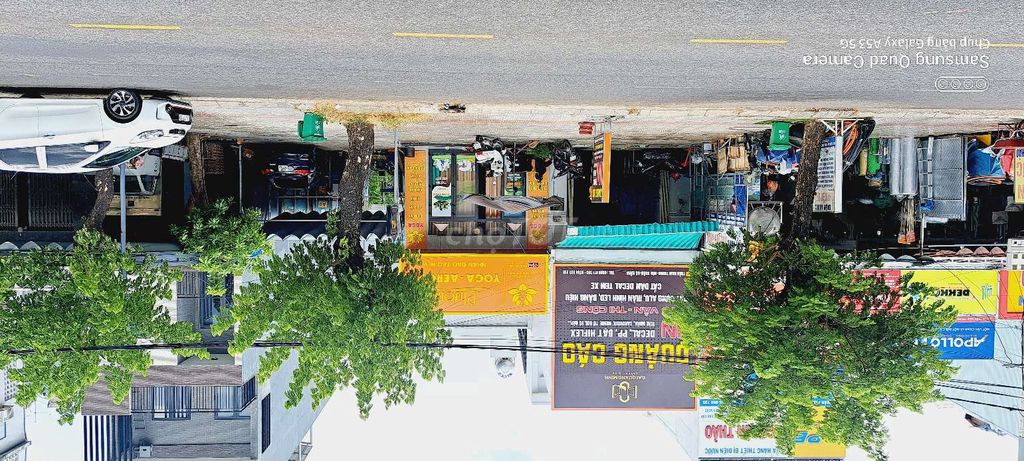 4348464 ảnh đại diện 1