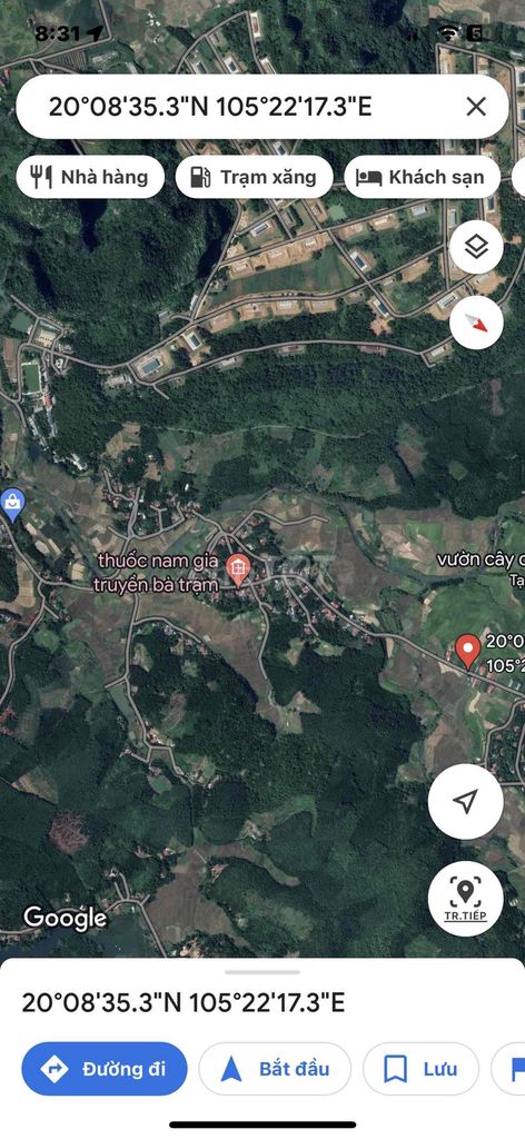 4347753 ảnh đại diện 2