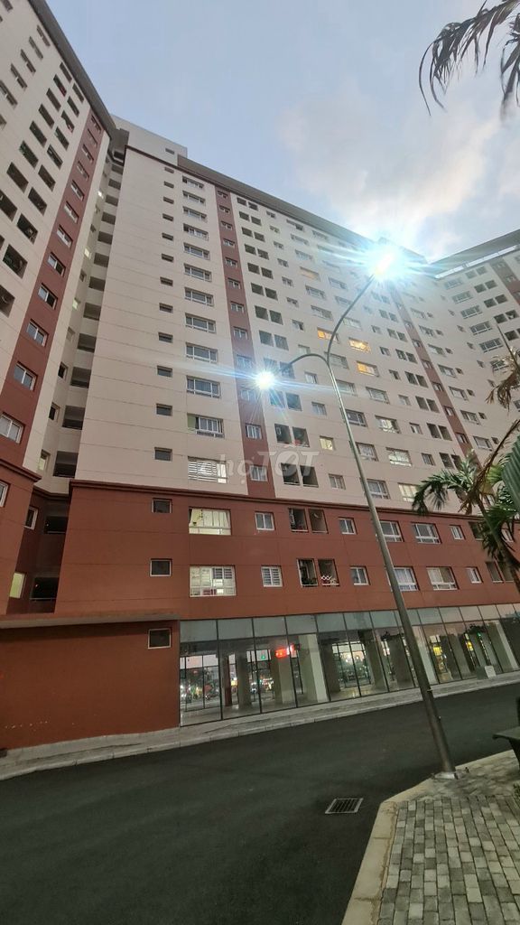 4350193 ảnh đại diện 1