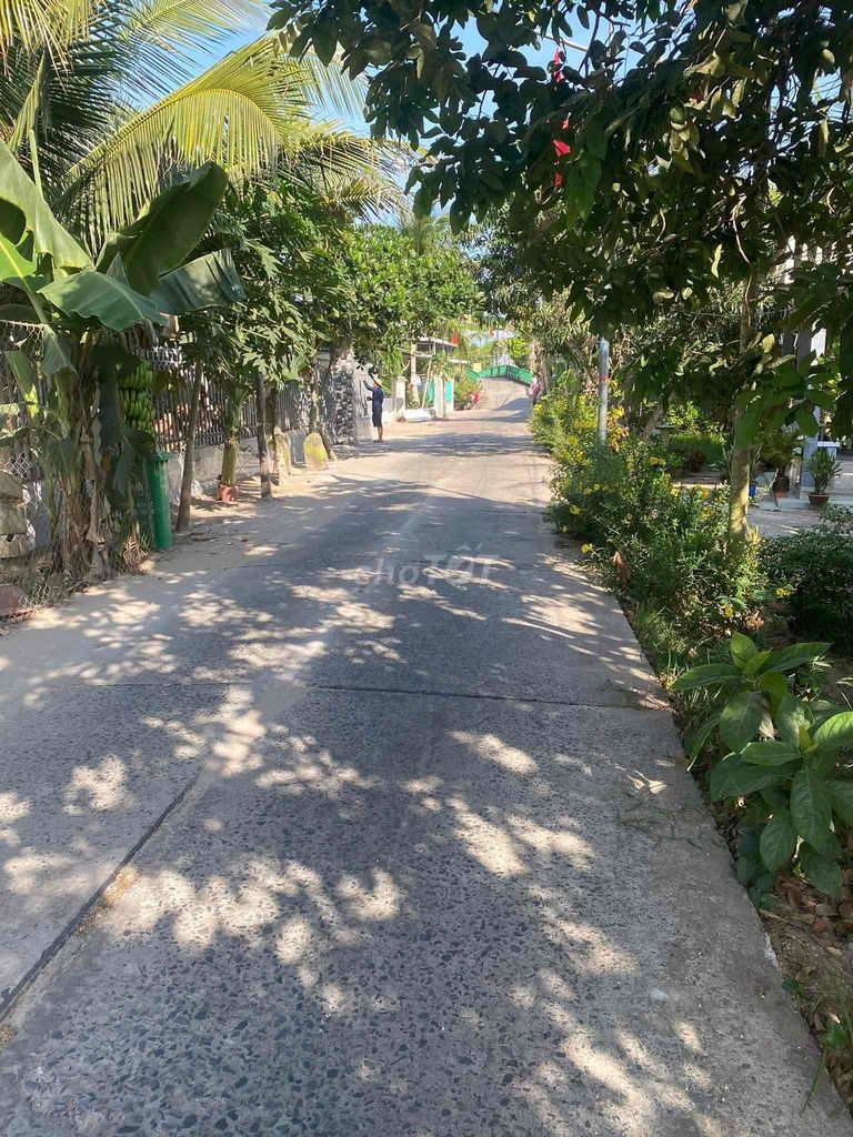 4347791 ảnh đại diện 2