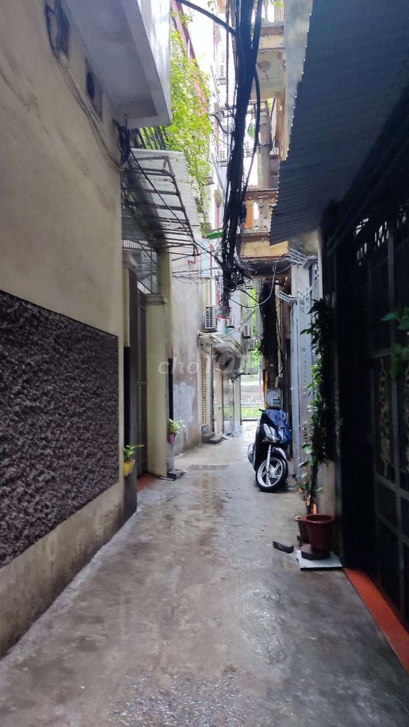 4349952 ảnh đại diện 2