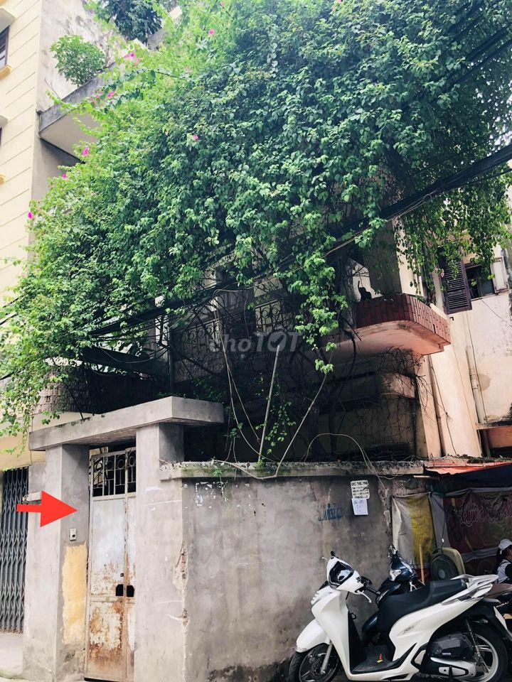 4350930 ảnh đại diện 1