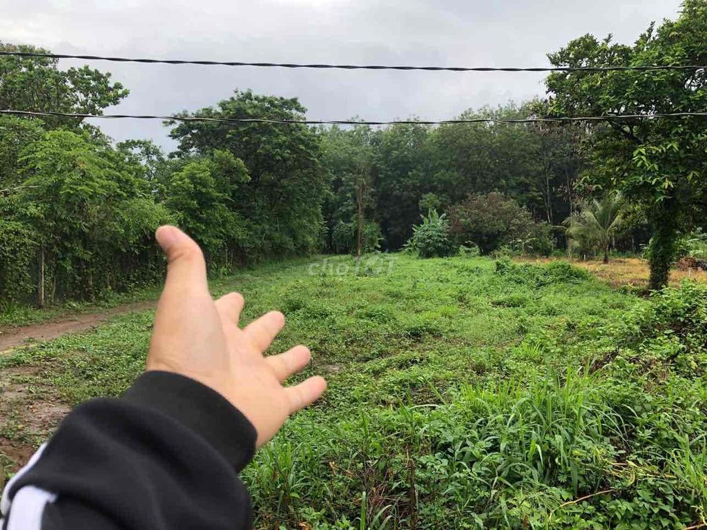 4349671 ảnh đại diện 1