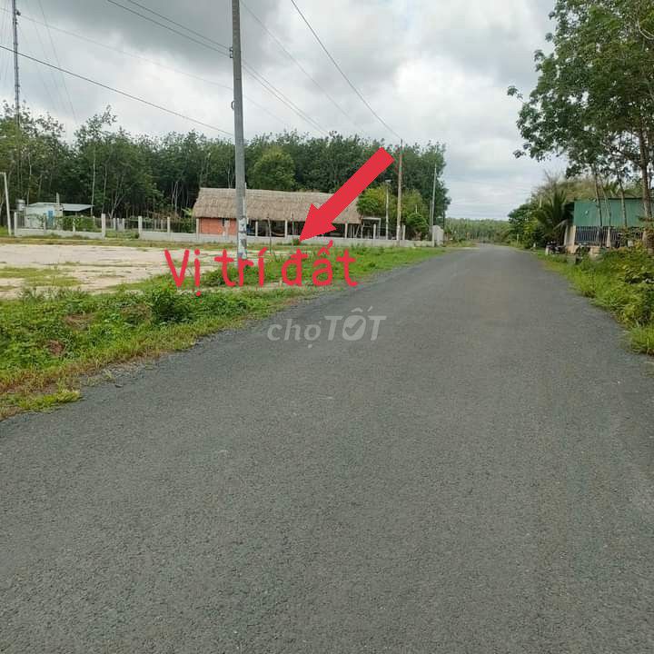 4349624 ảnh đại diện 1