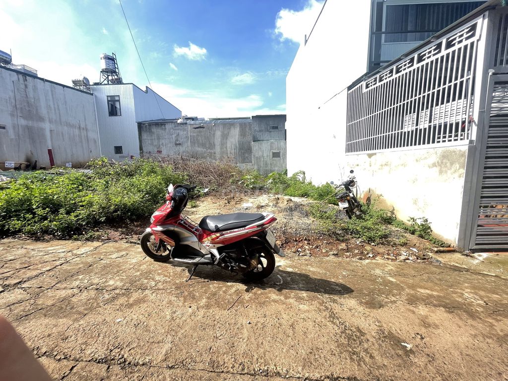 4351866 ảnh đại diện 2