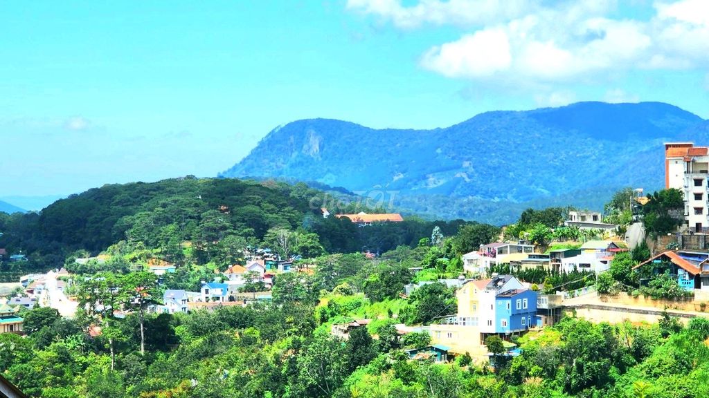 4351470 ảnh đại diện 1