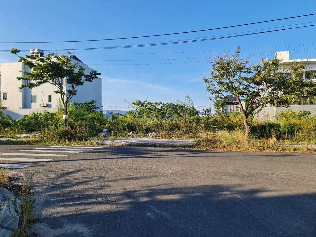 4353686 ảnh đại diện 1