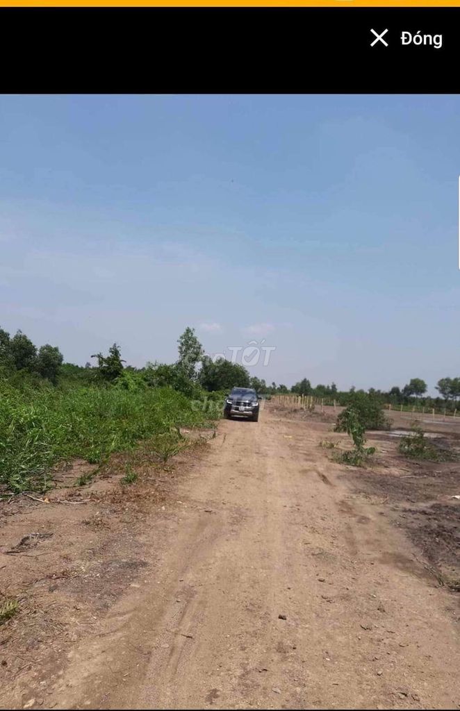 Cần Bán Gấp Đất Vườn Xã Vĩnh Lộc B Huyện Bc Tp Hcm