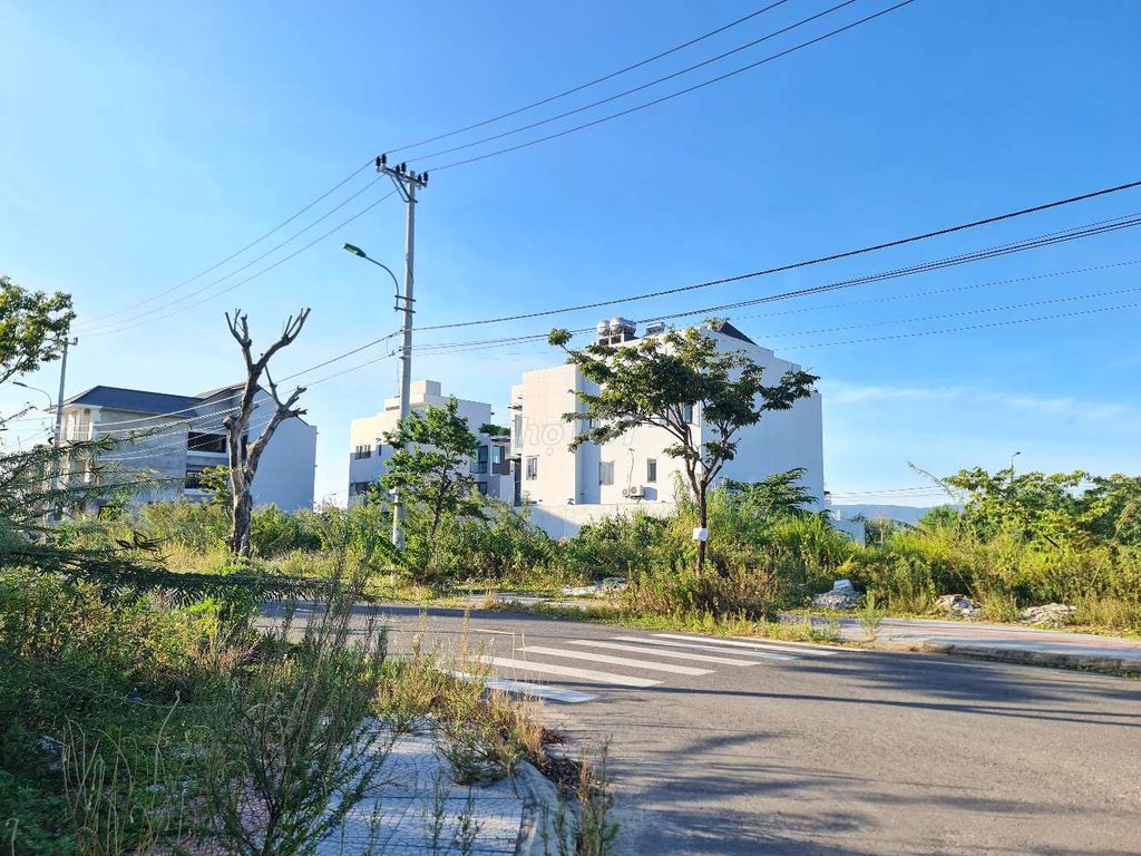 4353686 ảnh đại diện 1