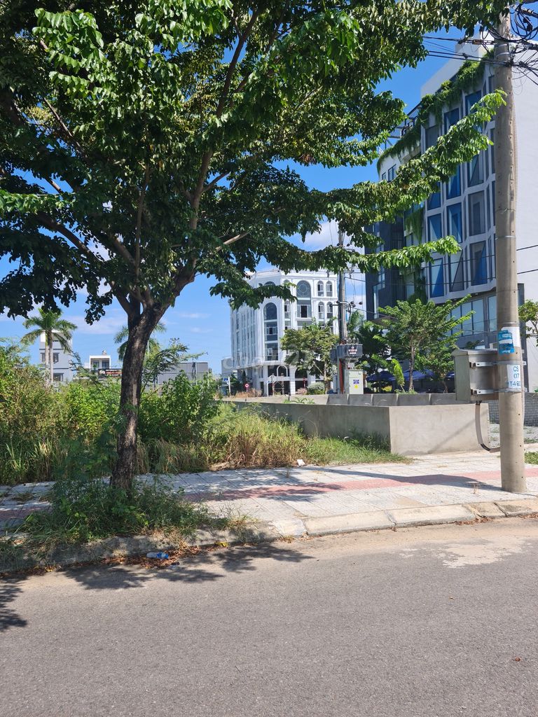 4353687 ảnh đại diện 2