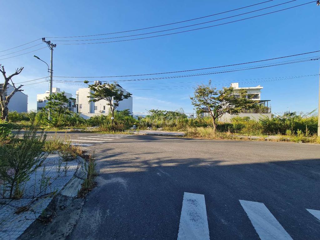 4353686 ảnh đại diện 2