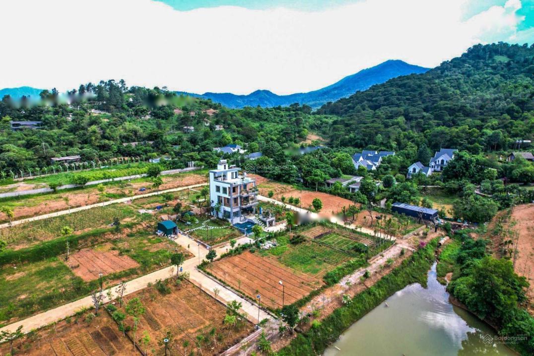 Cần Bán Nhanh Đất 250 M2 Tại Xã Yên Bài - Ba Vì - Hà Nội, Giá 2.14 Tỷ