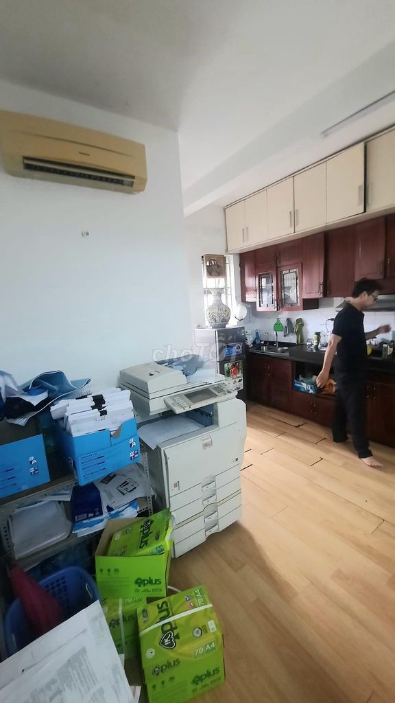 4372241 ảnh đại diện 2