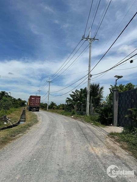 4377437 ảnh đại diện 1