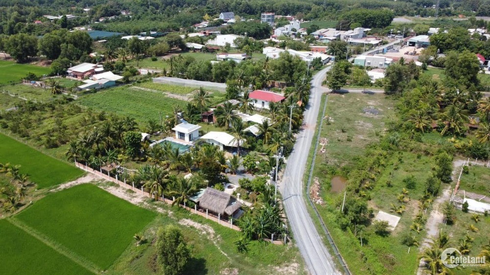 4377437 ảnh đại diện 1
