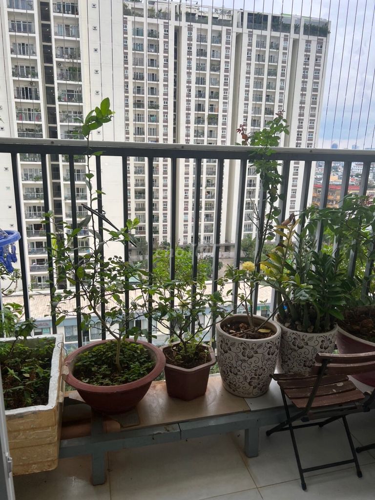4376756 ảnh đại diện 1