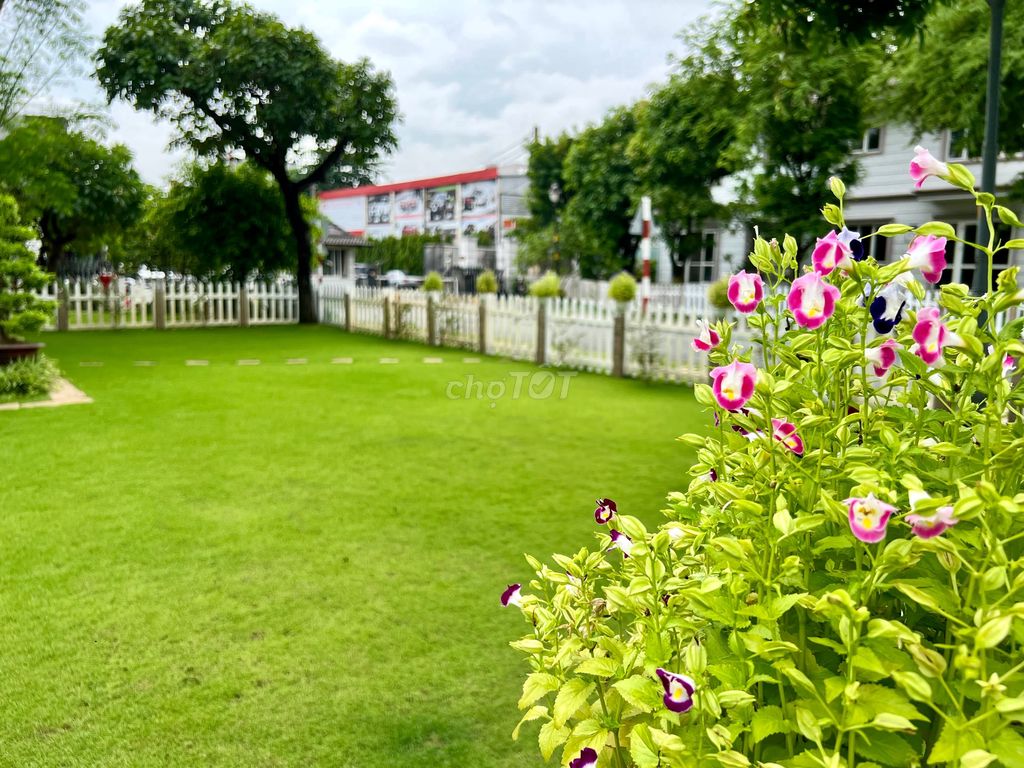 Chinh Phục Niềm Đam Mê Làm Vườn Tại Thủ Đức Garden Homes - Trantoan