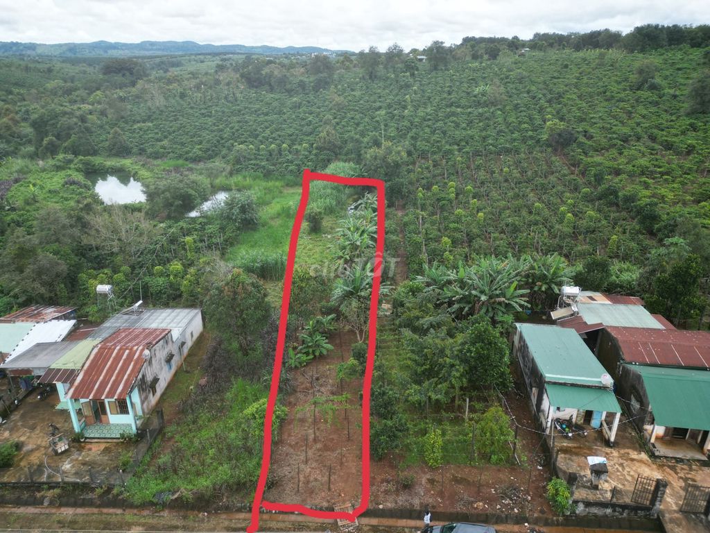 4379662 ảnh đại diện 1