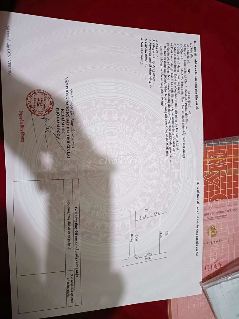 4382889 ảnh đại diện 2