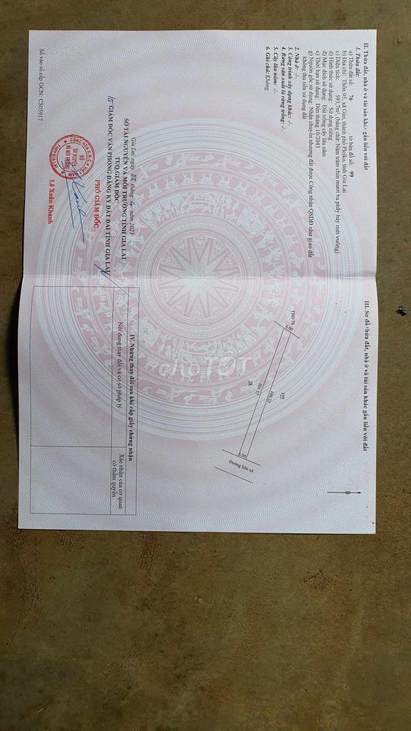 4379662 ảnh đại diện 1